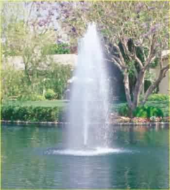 81193 grand geyser.jpg