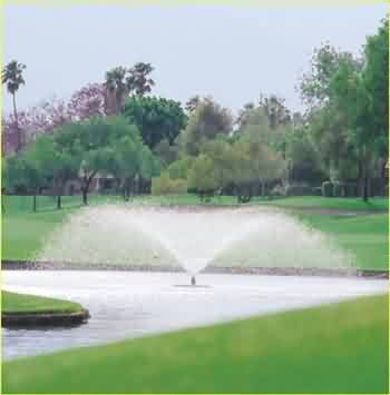 81196 wide trumpet.jpg