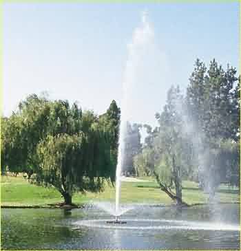 81198 trumpet geyser.jpg